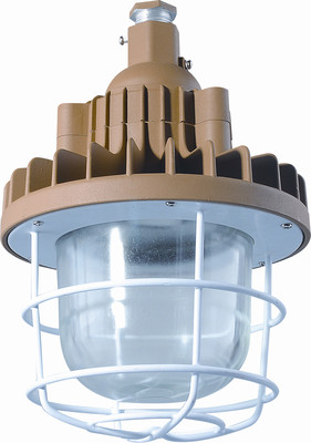 防爆應急照明燈